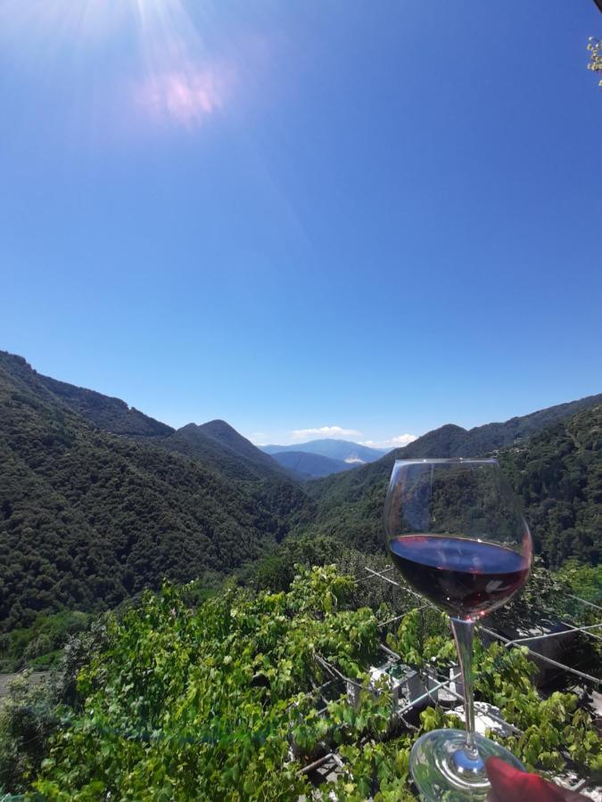 B&B La Locanda Del Cinghiale Aurano Экстерьер фото