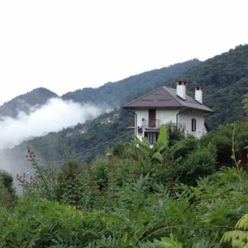 B&B La Locanda Del Cinghiale Aurano Экстерьер фото